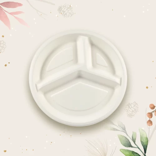 The 10" 3 Compartment Round Plate