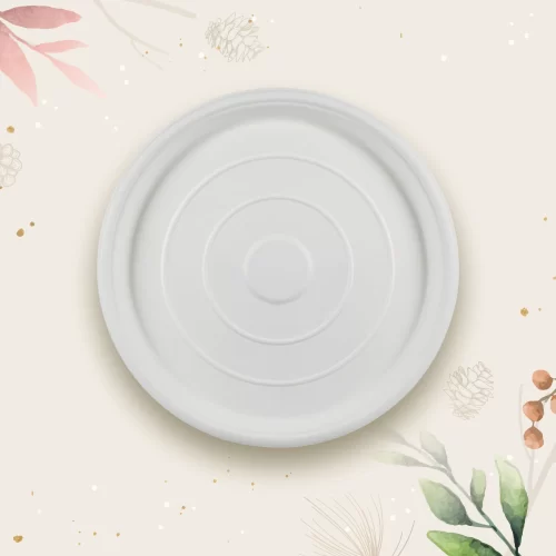 The 12" Regular Round Plate