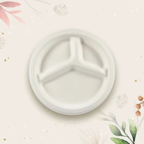 The 9" 3 Compartment Round Plate